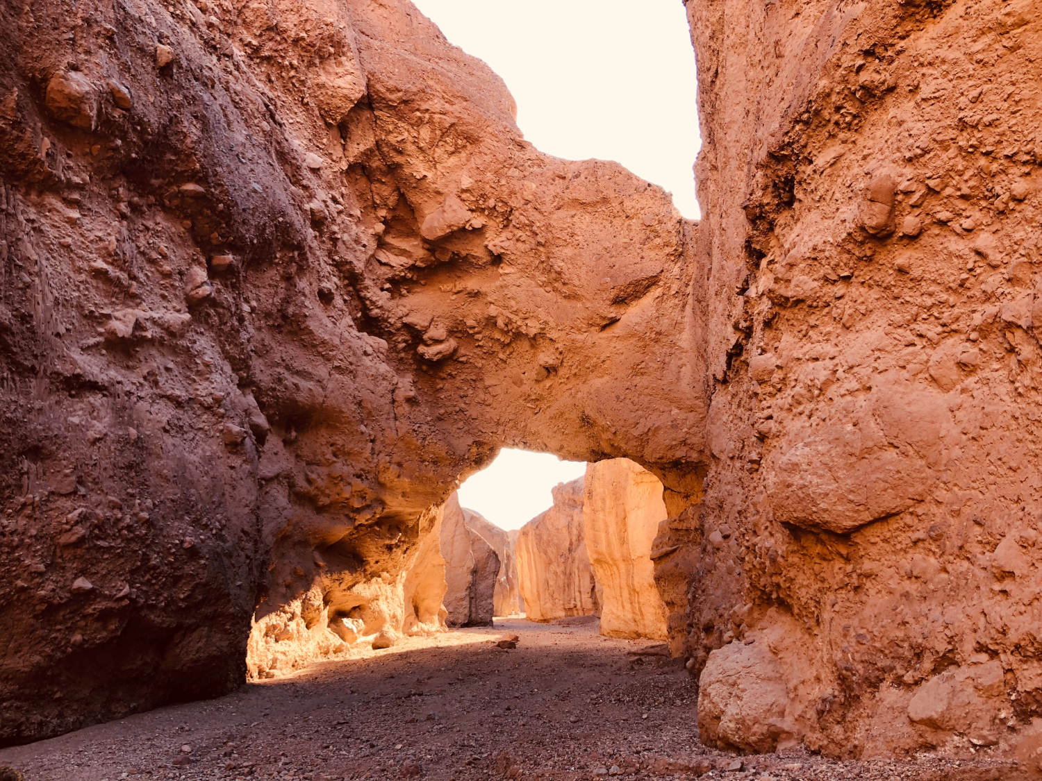 Picture of Death Valley Delights