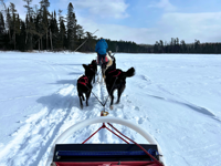 Picture of Dog Sledding and Winter Fun Picture of Dog Sledding and Winter Fun