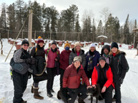 Picture of Dog Sledding and Winter Fun Picture of Dog Sledding and Winter Fun