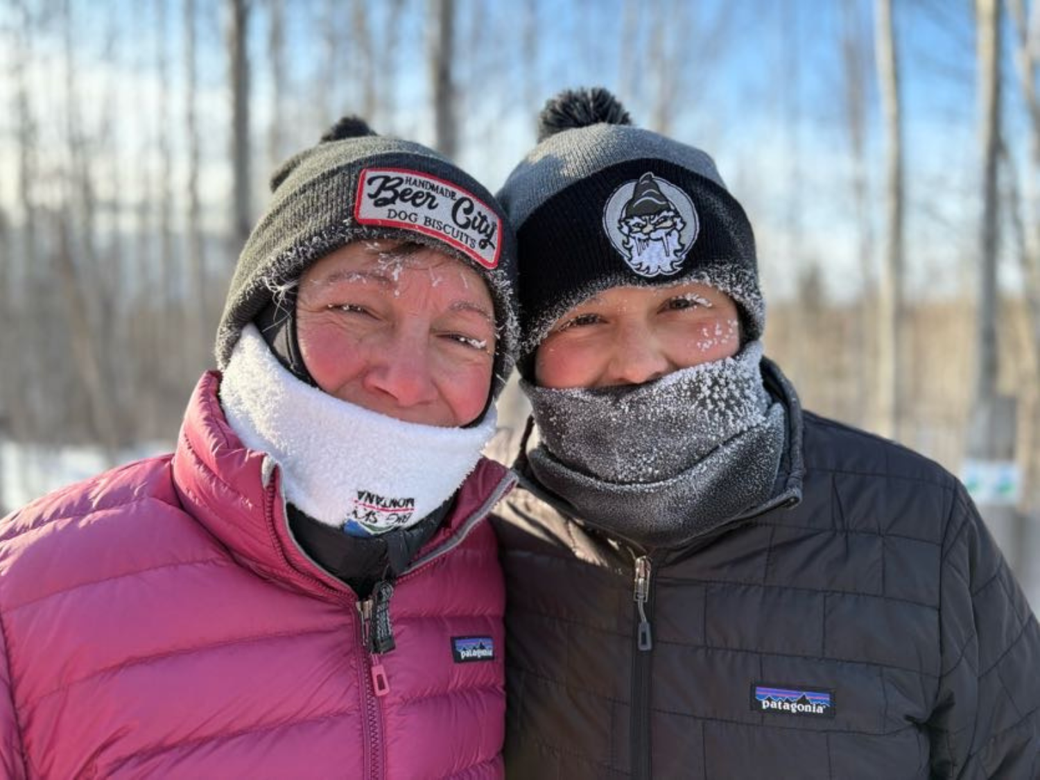 Picture of Dog Sledding and Winter Fun