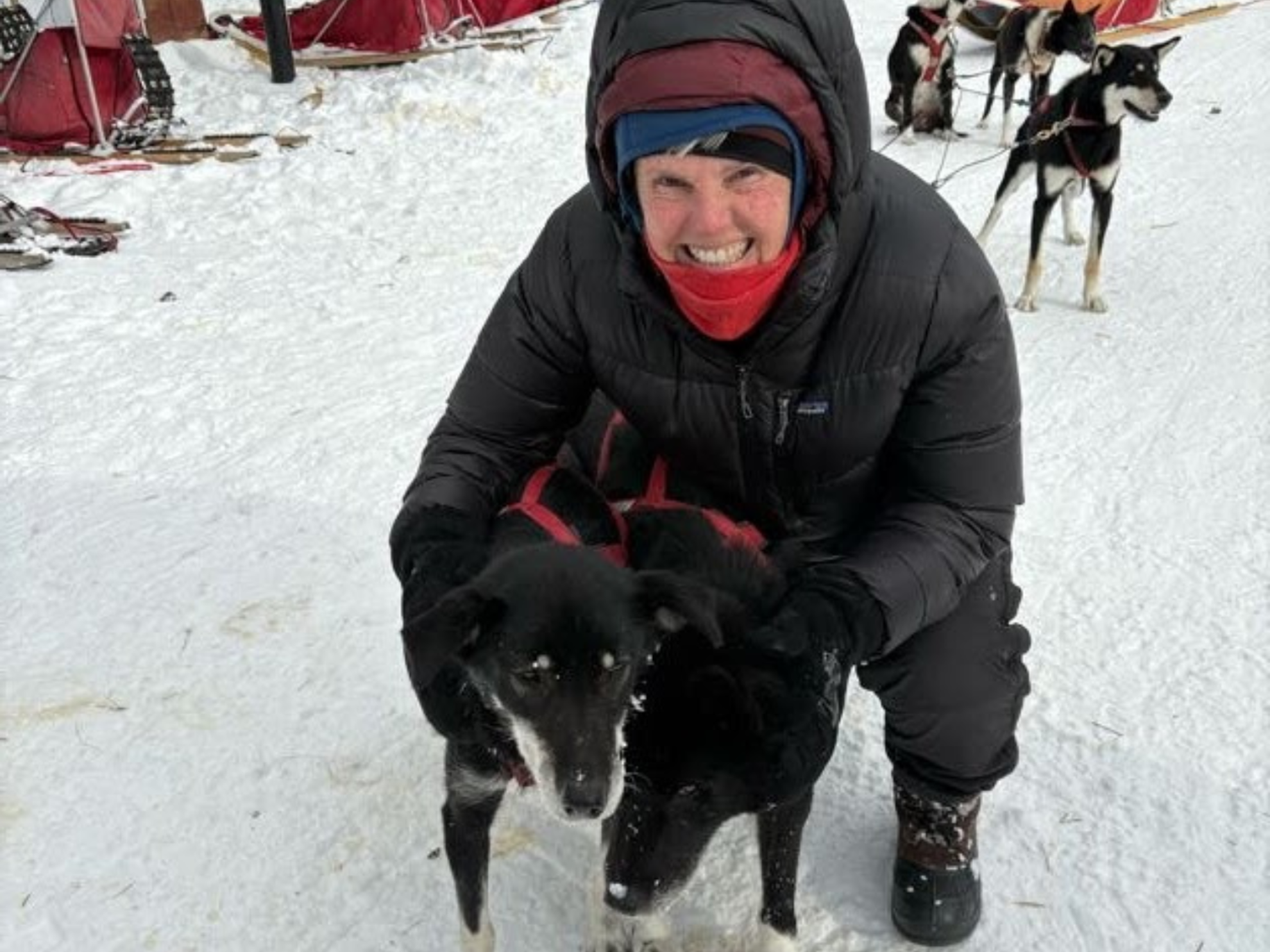 Picture of Dog Sledding and Winter Fun Picture of Dog Sledding and Winter Fun