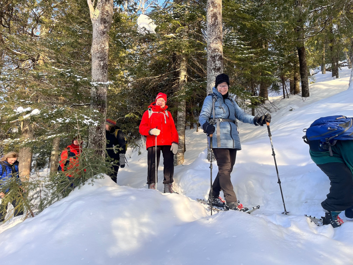 Picture of Dog Sledding and Winter Fun