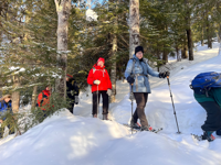 Picture of Dog Sledding and Winter Fun Picture of Dog Sledding and Winter Fun