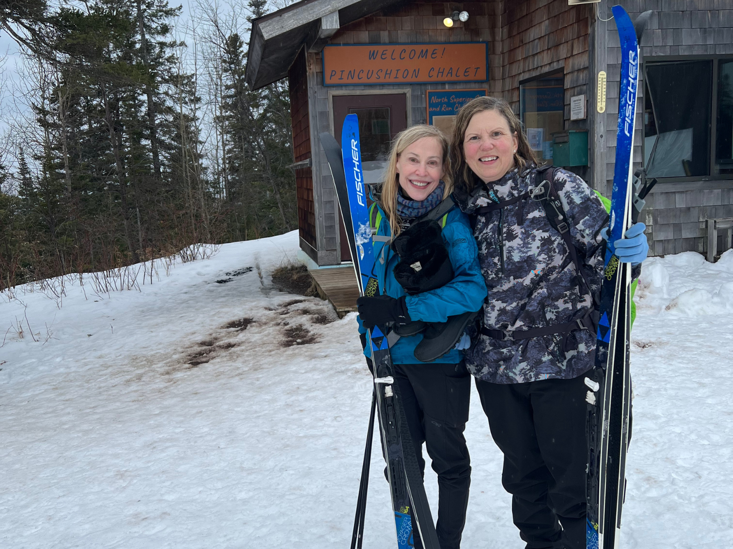 Picture of Dog Sledding and Winter Fun