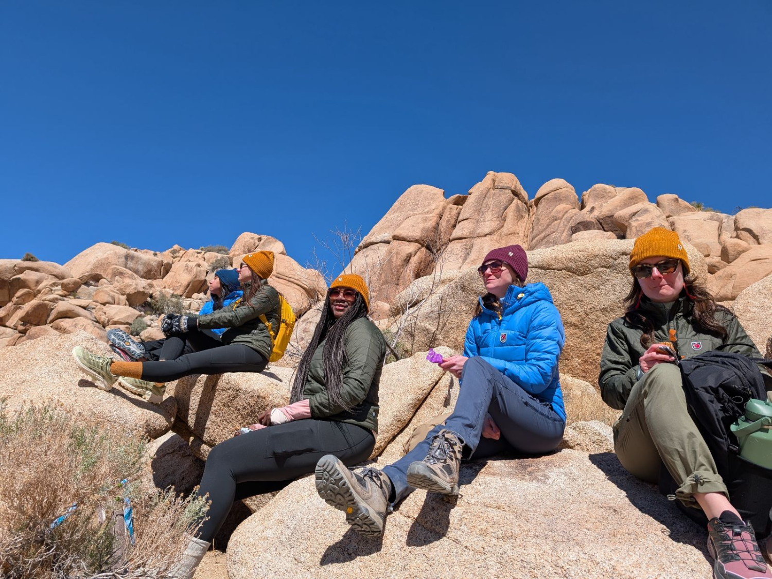 Picture of Desert Oasis Adventure: From Death Valley to Joshua Tree