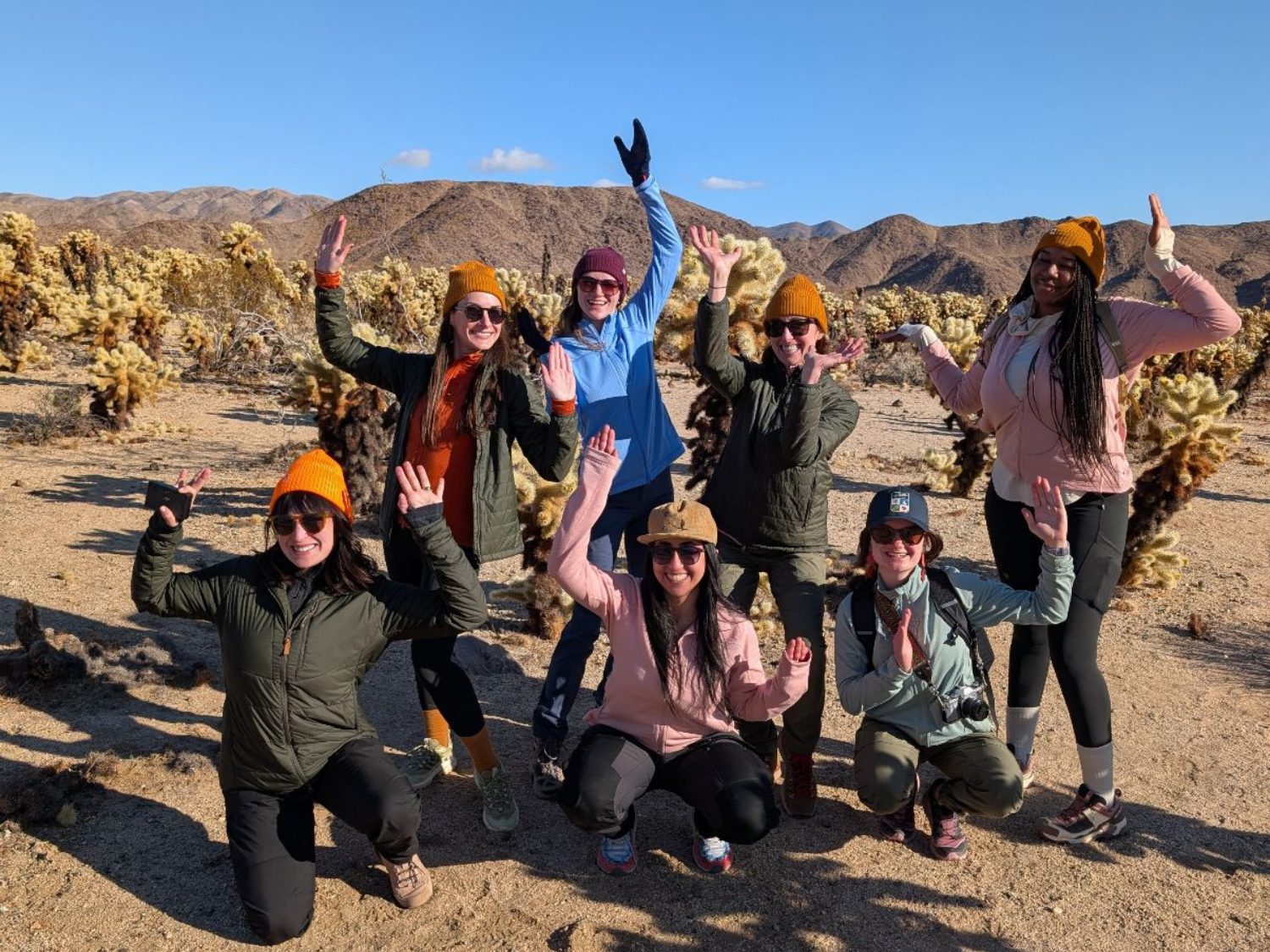 Picture of Desert Oasis Adventure: From Death Valley to Joshua Tree