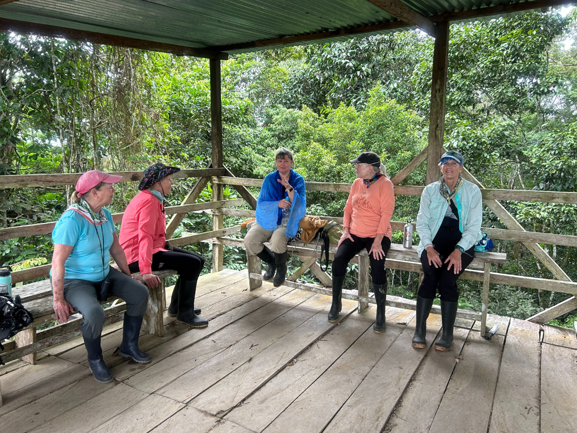 Picture of Ecuador's Amazon Jungle Adventure Picture of Ecuador's Amazon Jungle Adventure