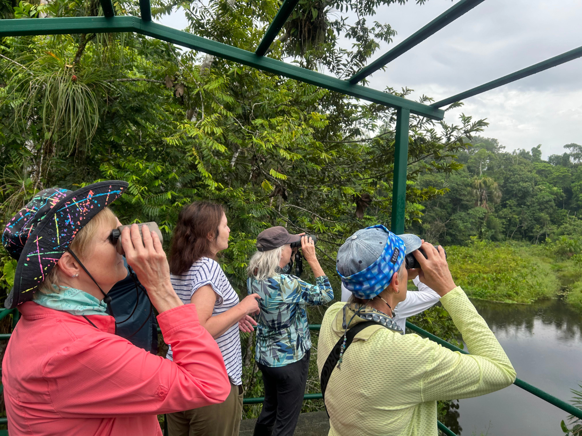 Picture of Ecuador's Amazon Jungle Adventure Picture of Ecuador's Amazon Jungle Adventure