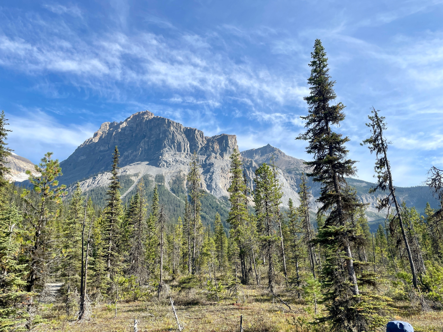 Picture of Canadian Rockies Hiking Holiday