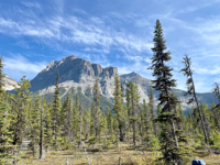 Picture of Canadian Rockies Hiking Holiday Picture of Canadian Rockies Hiking Holiday