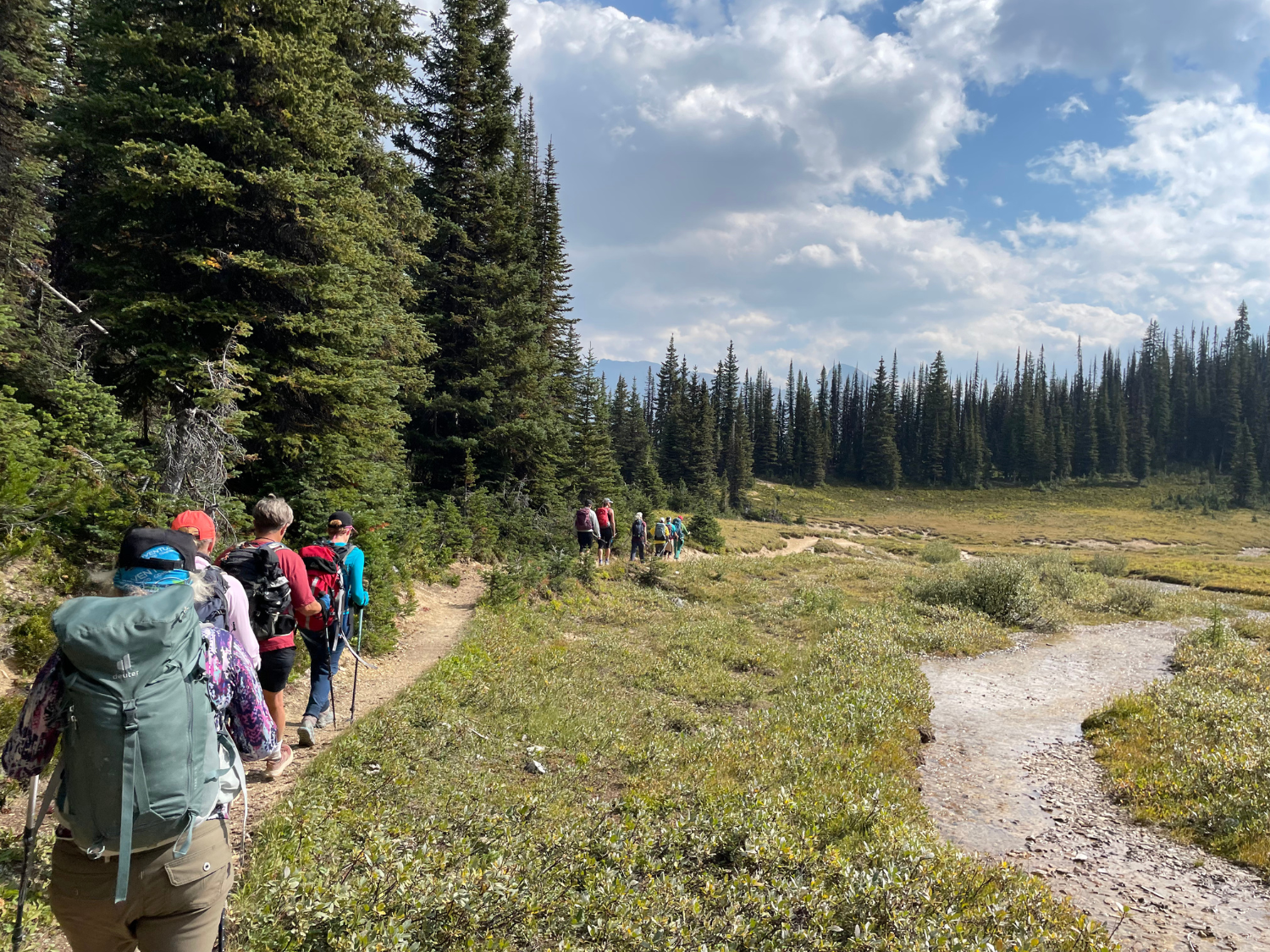 Picture of Canadian Rockies Hiking Holiday