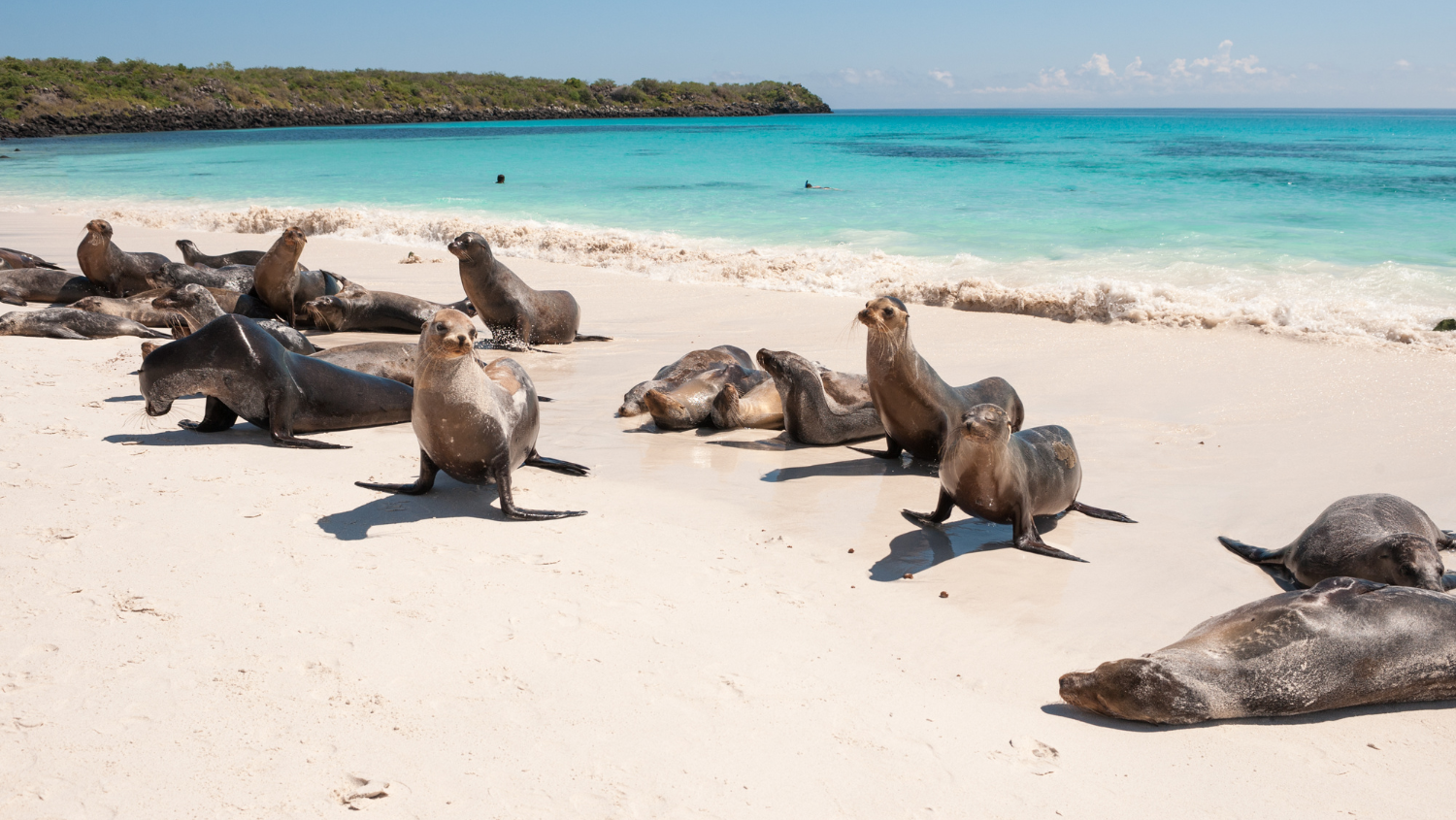 Explore the Galapagos Islands by Land