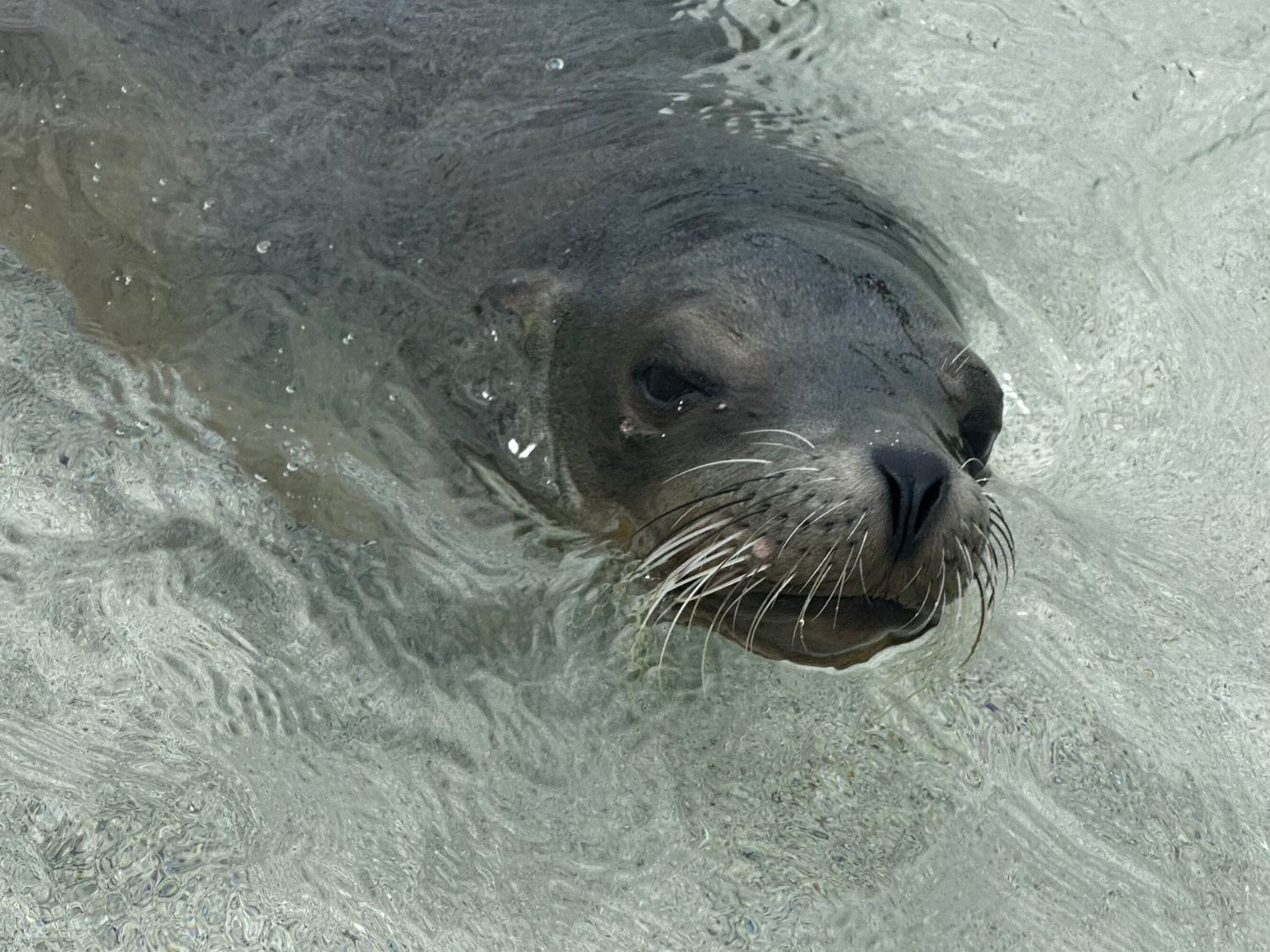 Picture of Explore the Galapagos Islands by Land
