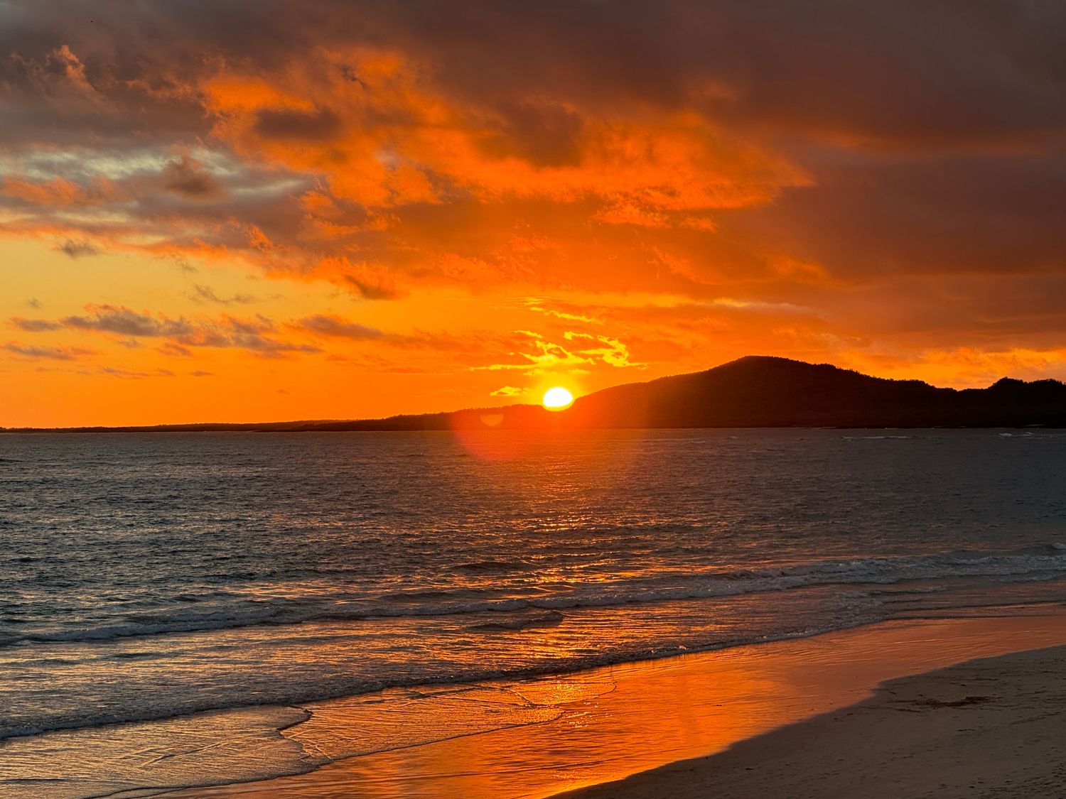 Picture of Explore the Galapagos Islands by Land