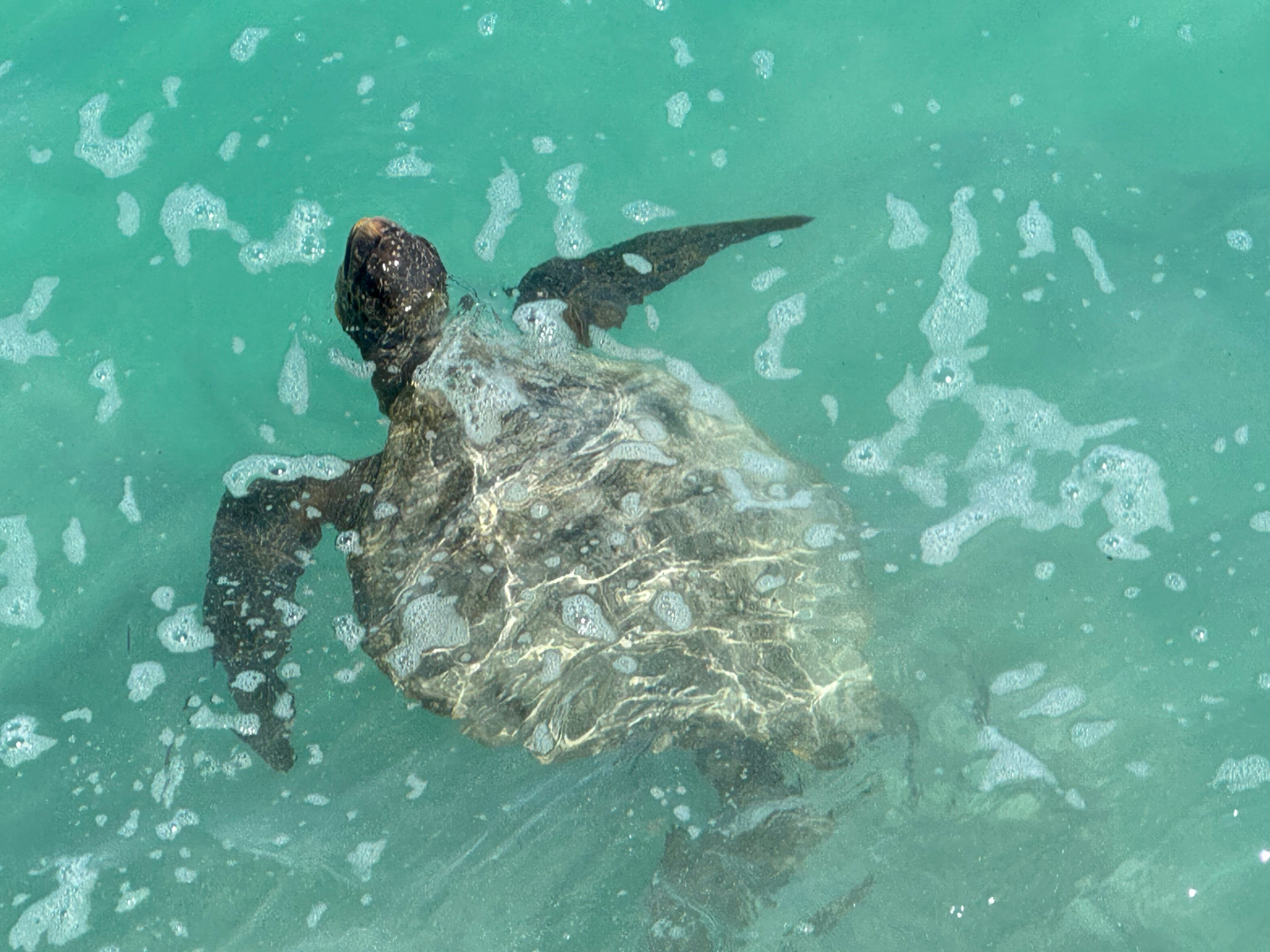 Picture of Explore the Galapagos Islands by Land