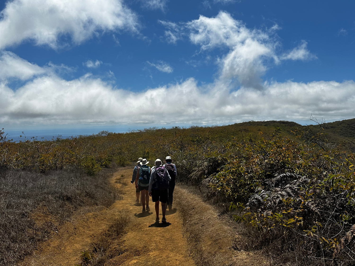 Picture of Explore the Galapagos Islands by Land