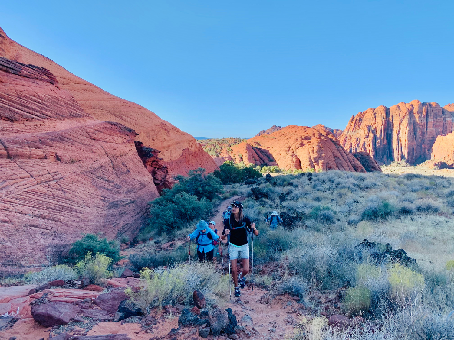 Picture of Hiking the Grand Staircase National Parks