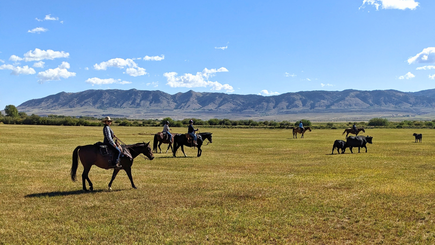 Living the Cowgirl Life