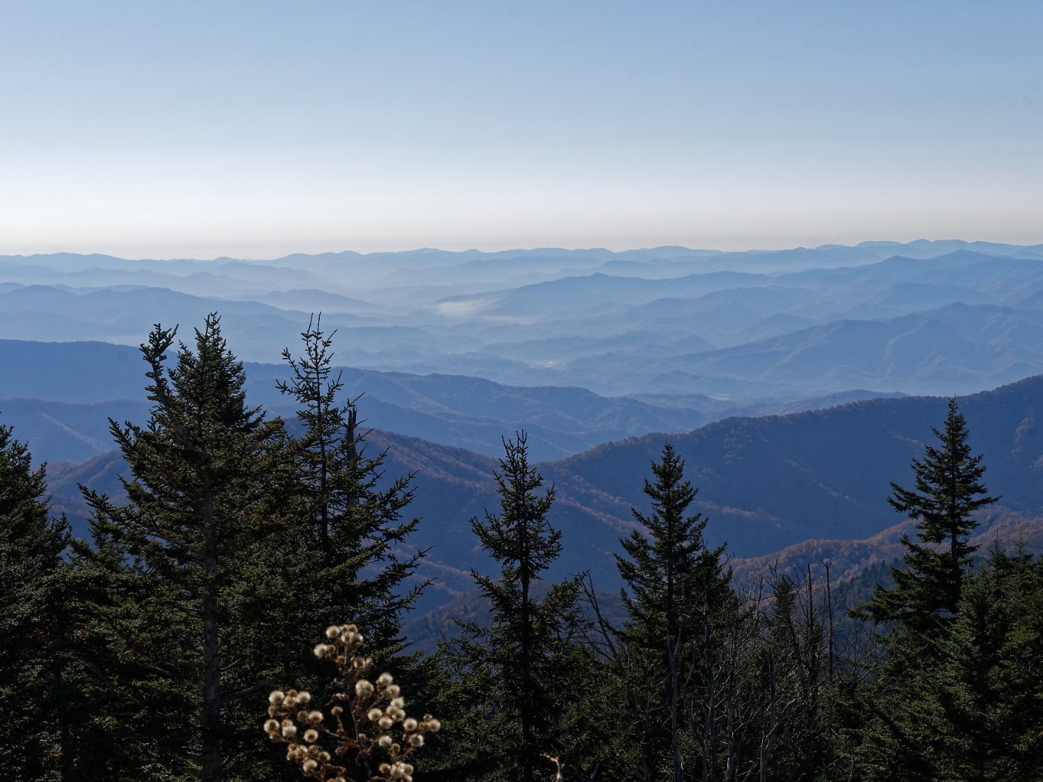 Picture of Fall in the Great Smokies