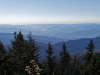 Picture of Fall in the Great Smokies