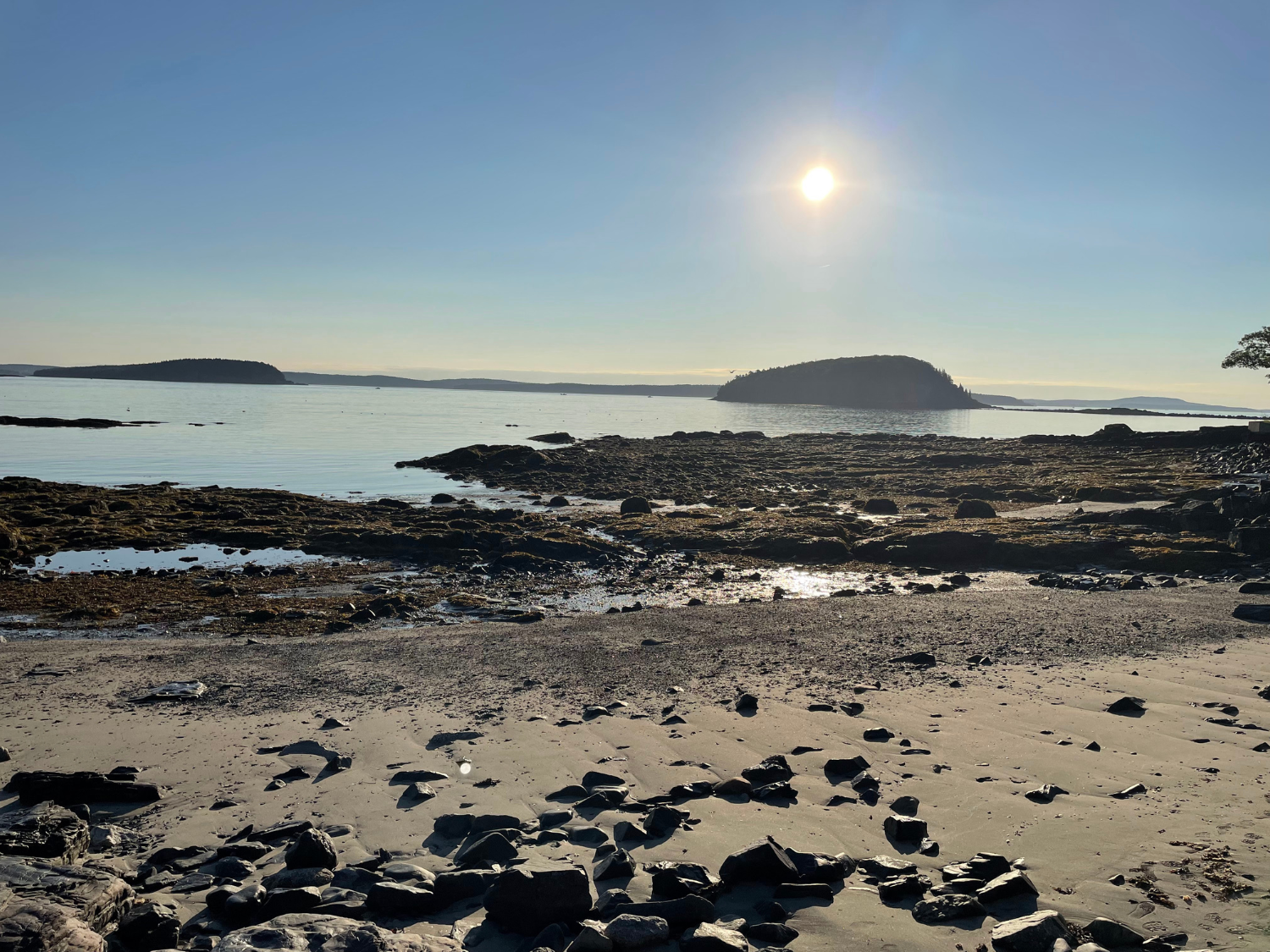 Picture of Magical Maine: Acadia National Park