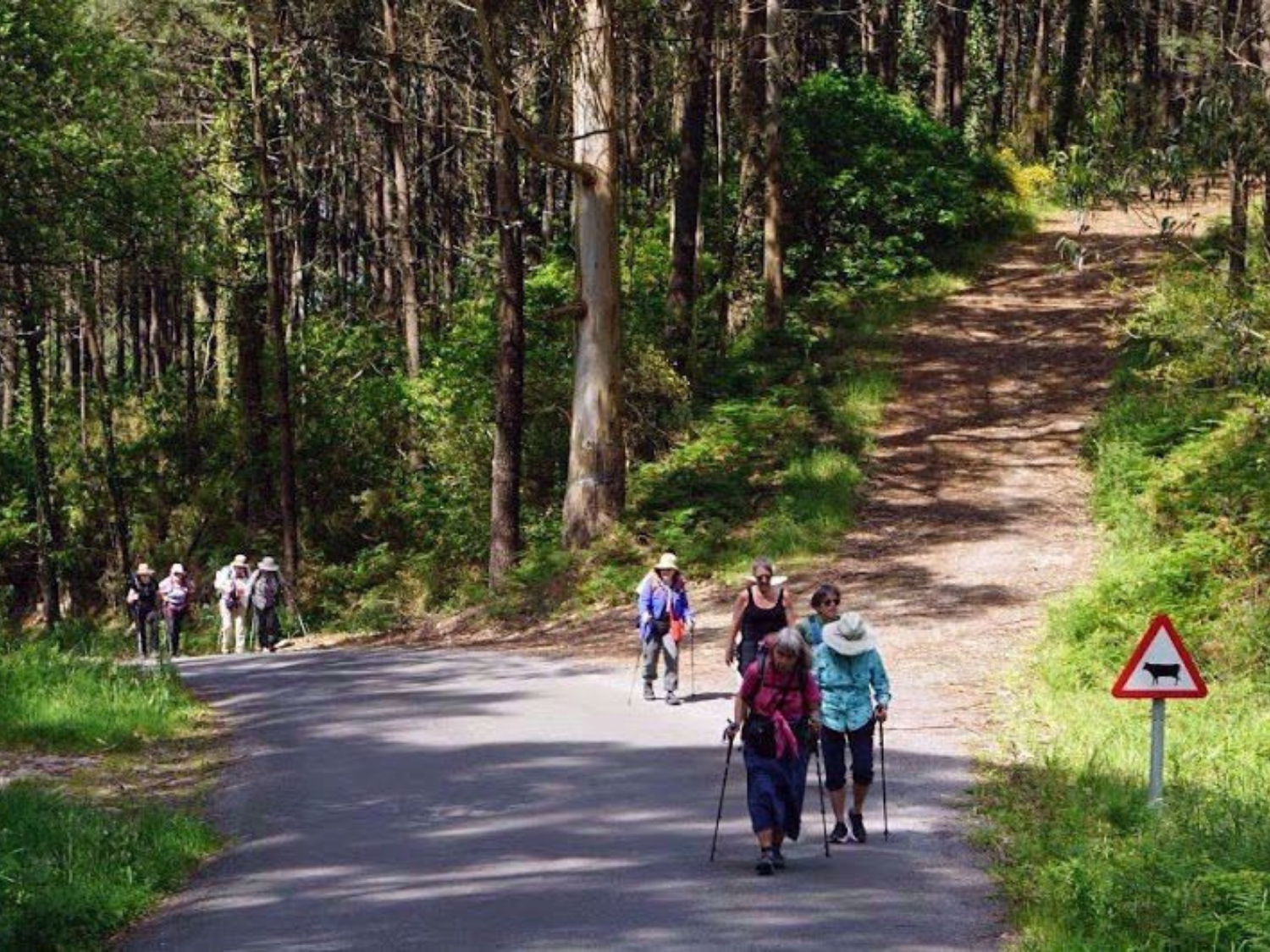 Picture of Santiago to the Sea: Camino Finisterre