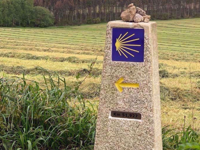 Picture of Santiago to the Sea: Camino Finisterre