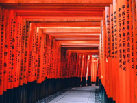 Picture of Japan's Culture and Countryside Picture of Japan's Culture and Countryside