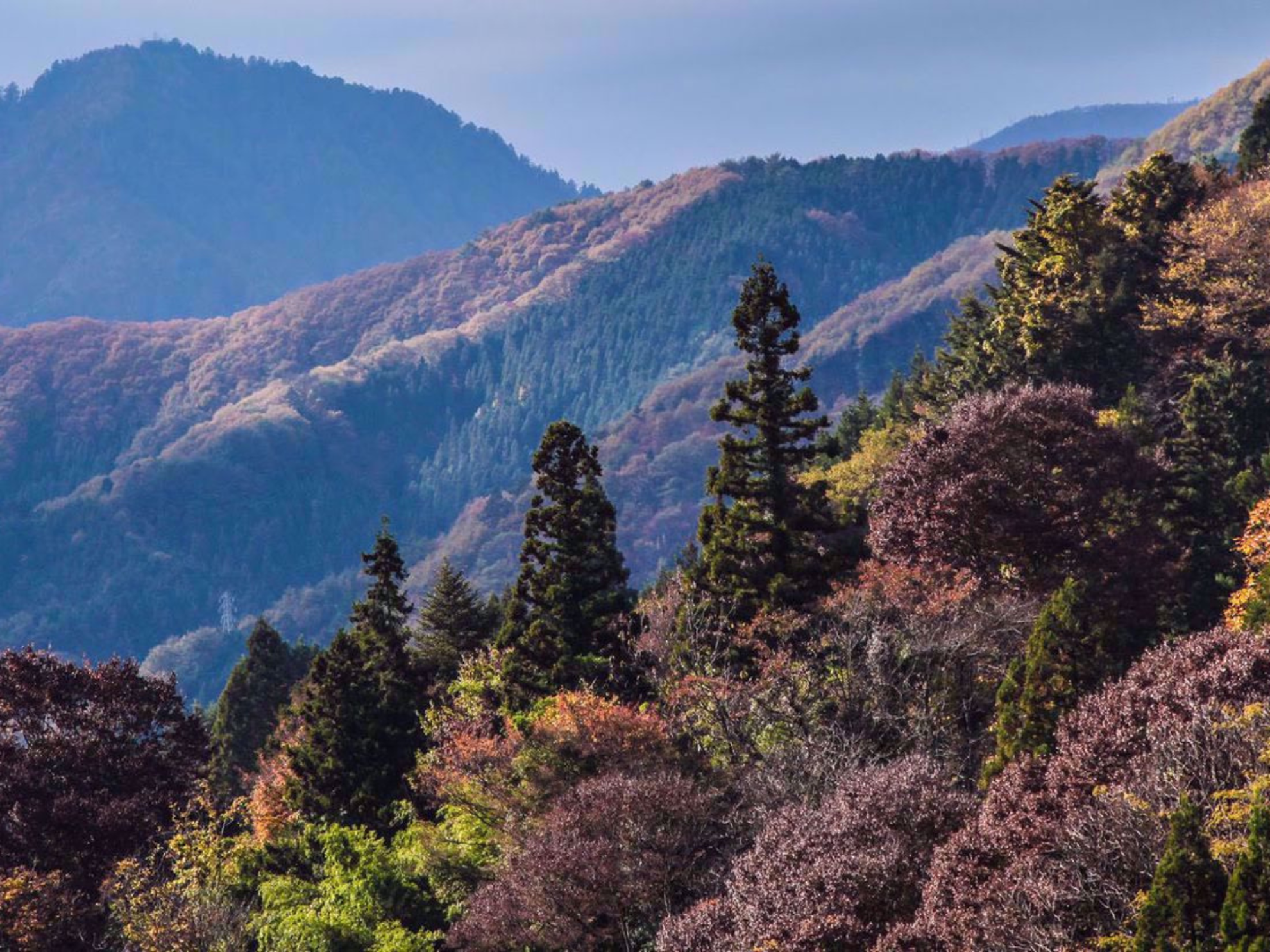Picture of Japan's Culture and Countryside Picture of Japan's Culture and Countryside