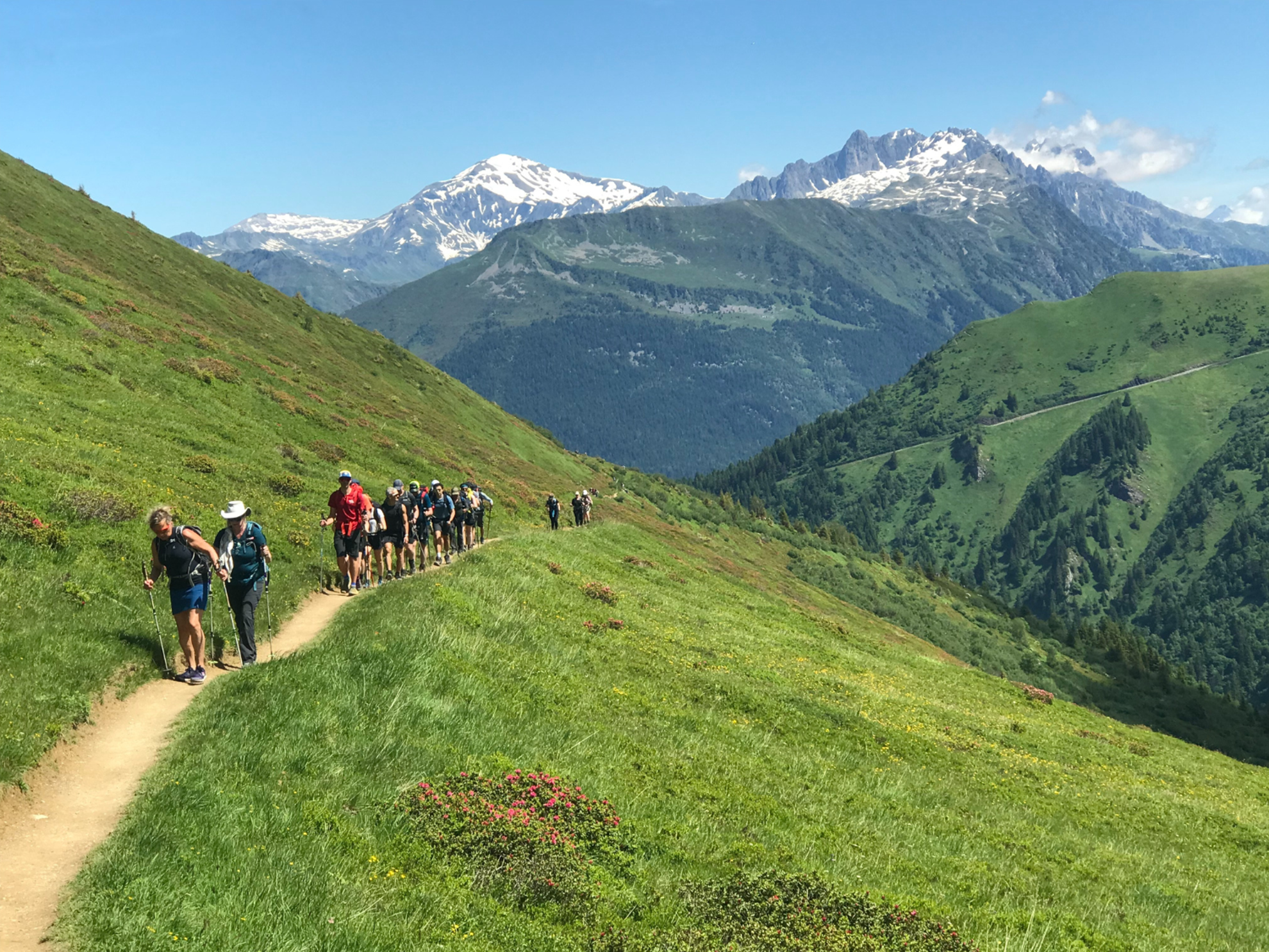 Picture of Tour du Mont Blanc Highlights Picture of Tour du Mont Blanc Highlights