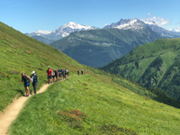 Picture of Tour du Mont Blanc Highlights Picture of Tour du Mont Blanc Highlights