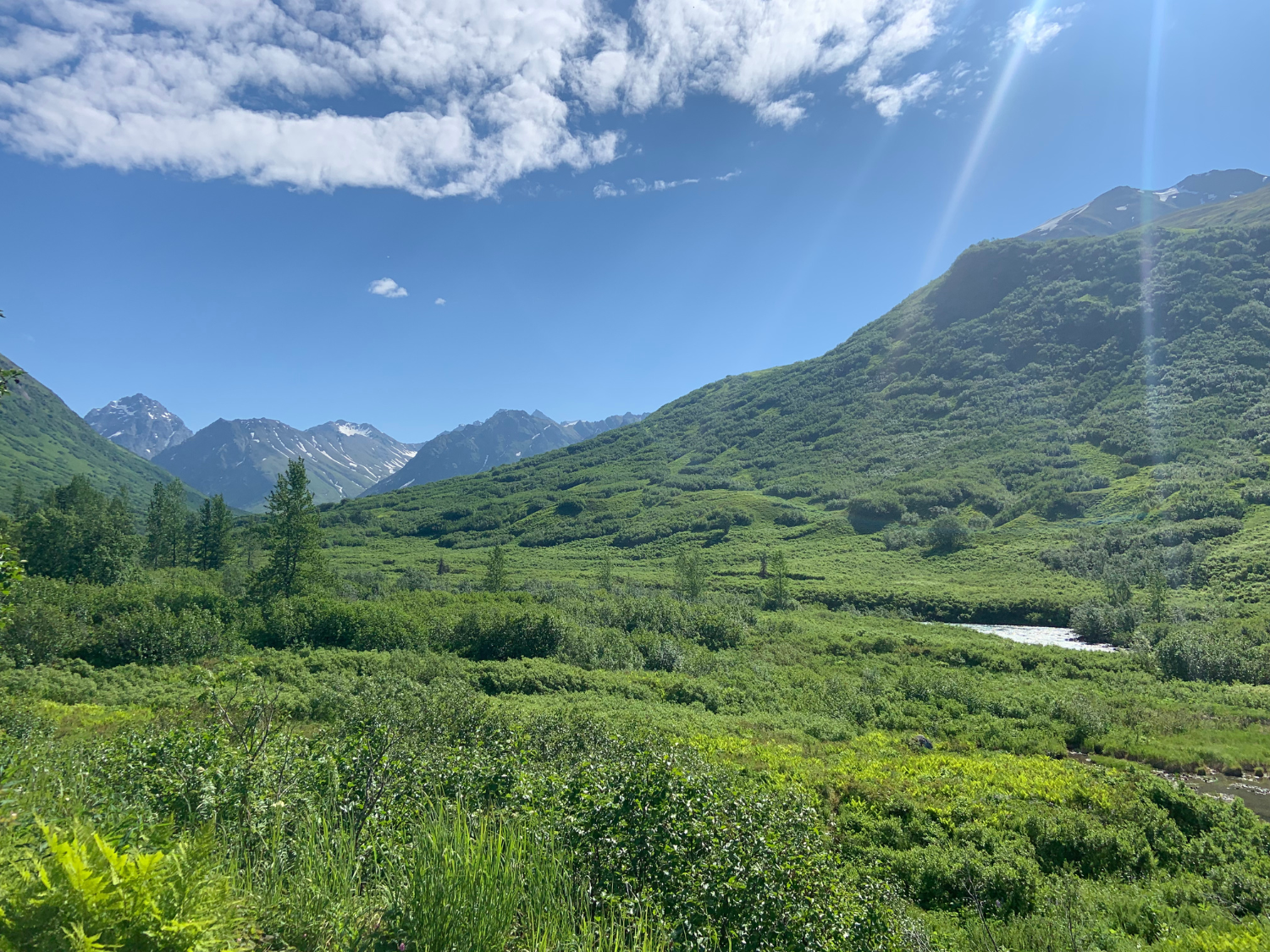 Picture of Alaska: From Anchorage to Fairbanks