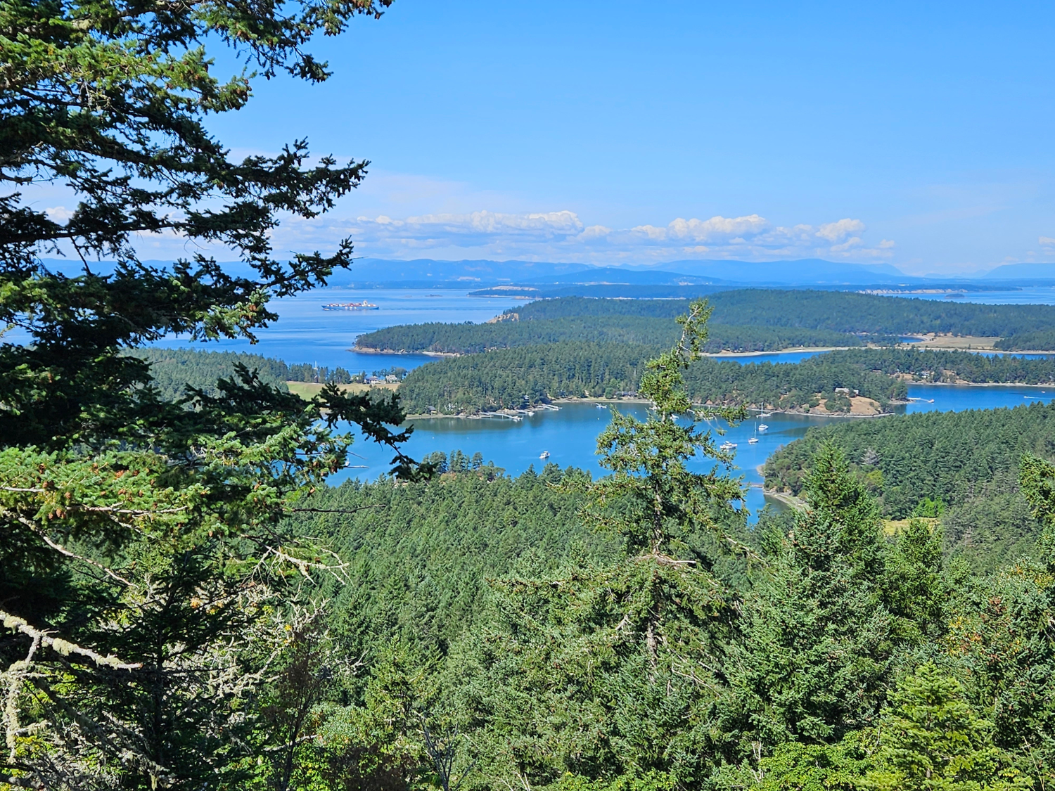 Picture of PNW Escape: The San Juan Islands & Olympic National Park