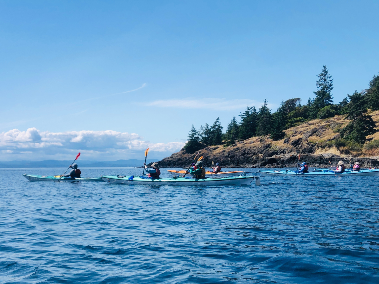 Picture of PNW Escape: The San Juan Islands & Olympic National Park