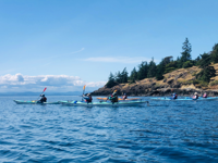 Picture of PNW Escape: The San Juan Islands & Olympic National Park