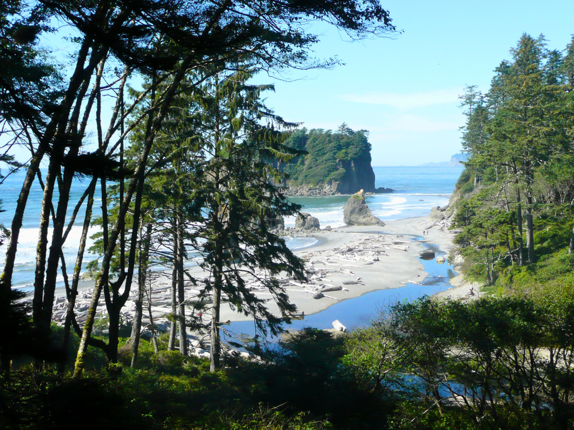Picture of PNW Escape: The San Juan Islands & Olympic National Park