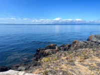 Picture of PNW Escape: The San Juan Islands & Olympic National Park