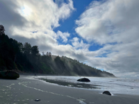 Picture of PNW Escape: The San Juan Islands & Olympic National Park