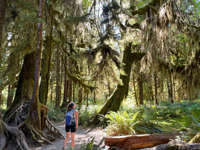 Picture of Pacific Northwest Escape: The San Juan Islands & Olympic National Park Picture of Pacific Northwest Escape: The San Juan Islands & Olympic National Park