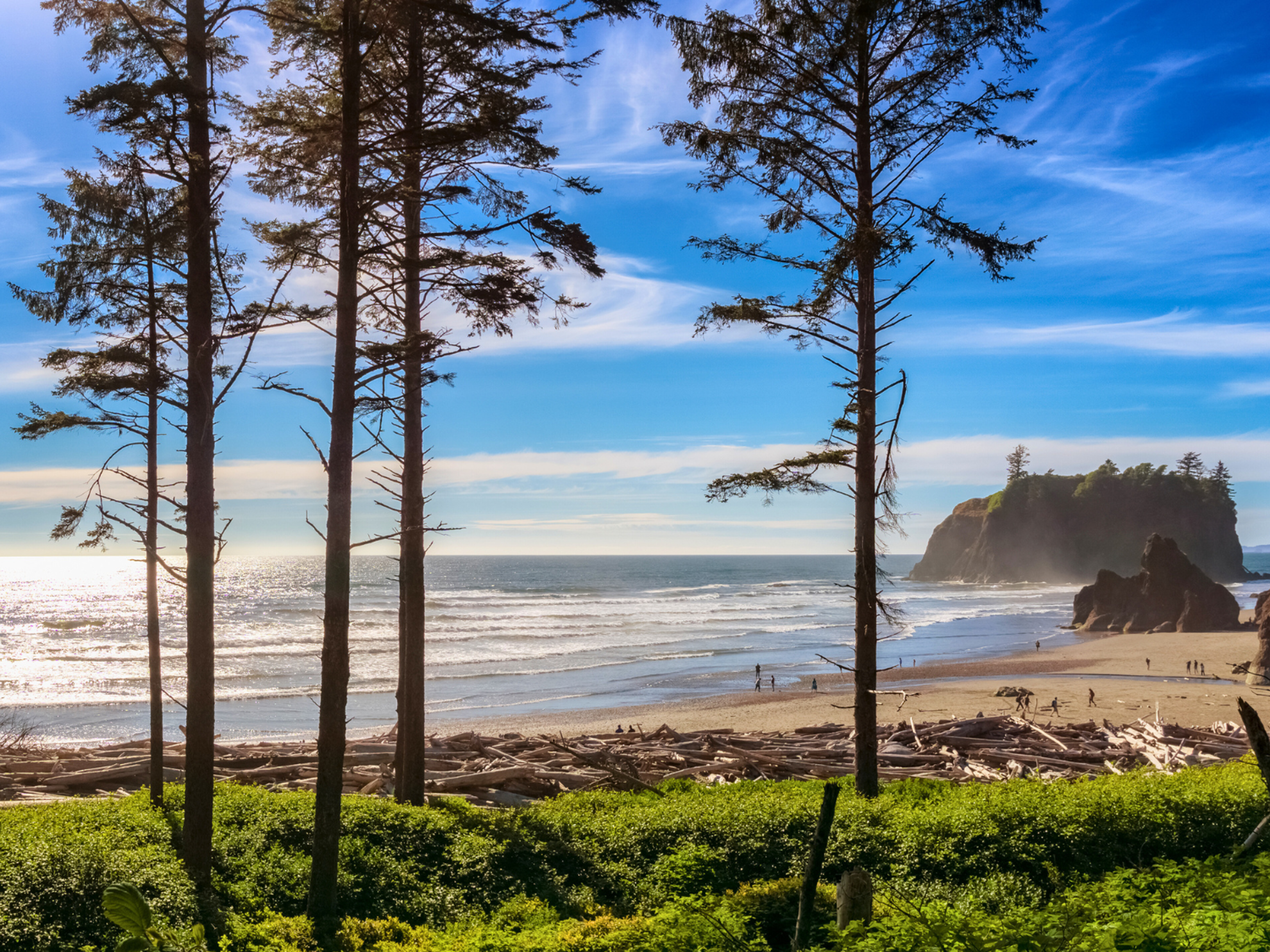 Picture of PNW Escape: The San Juan Islands & Olympic National Park
