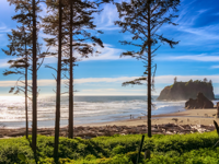 Picture of PNW Escape: The San Juan Islands & Olympic National Park