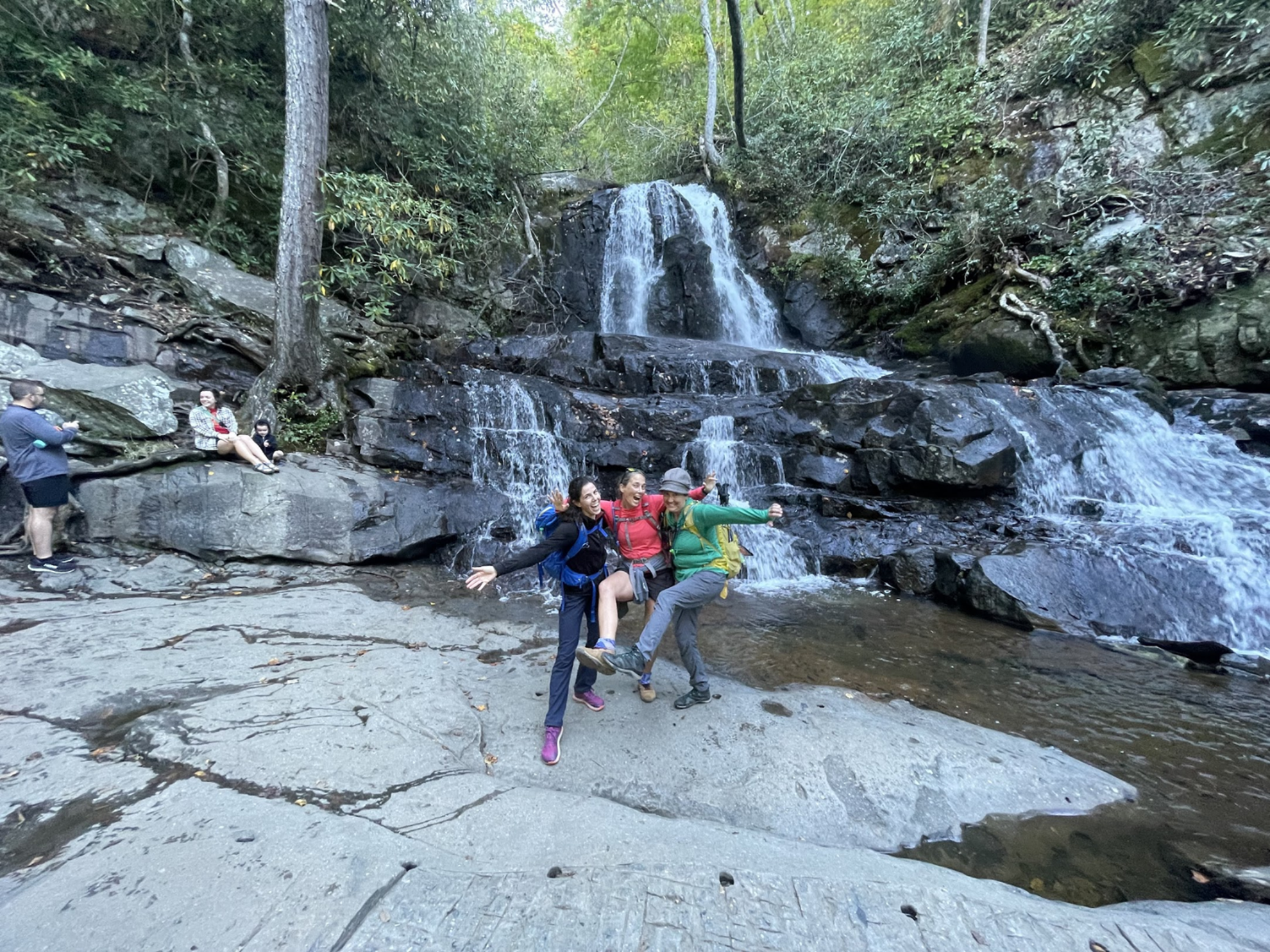 Picture of Fall in the Great Smokies