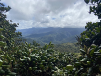 Picture of Costa Rica: From Sea to Mountains Picture of Costa Rica: From Sea to Mountains