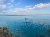 Picture of Discover the Rhythm and Heartbeat of Cuba