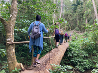 Picture of Discover the Rhythm and Heartbeat of Cuba