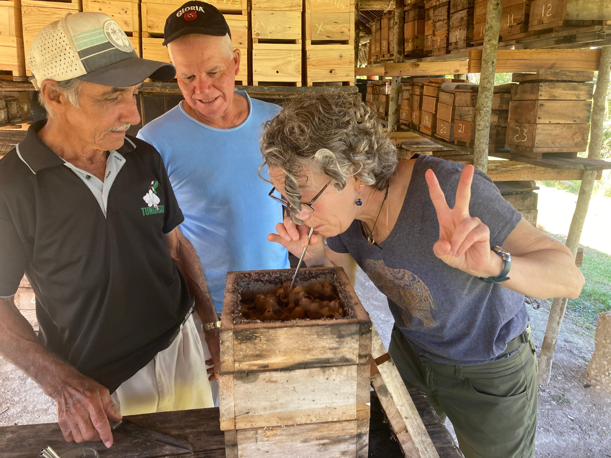 Picture of Discover the Rhythm and Heartbeat of Cuba
