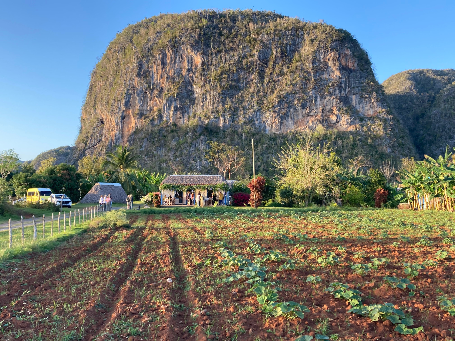 Picture of Discover the Rhythm and Heartbeat of Cuba