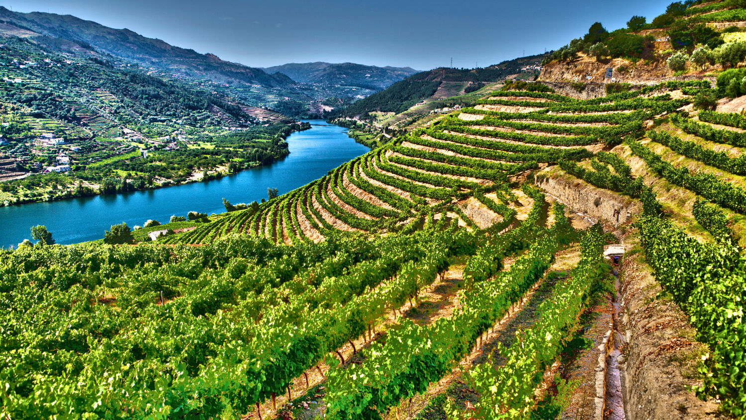 Portugal: Porto & the Douro Valley