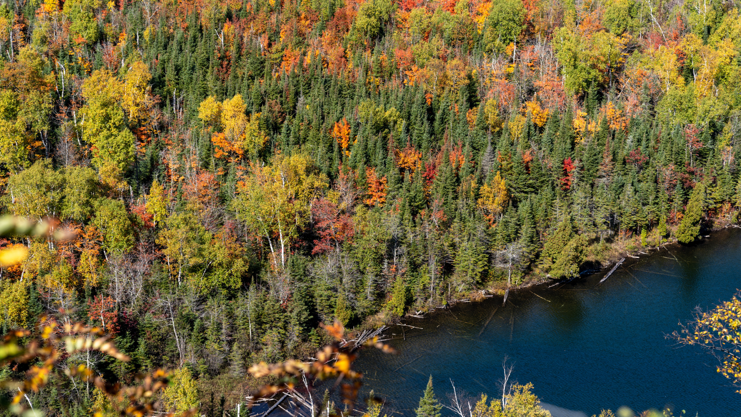 Autumn on the Superior Hiking Trail