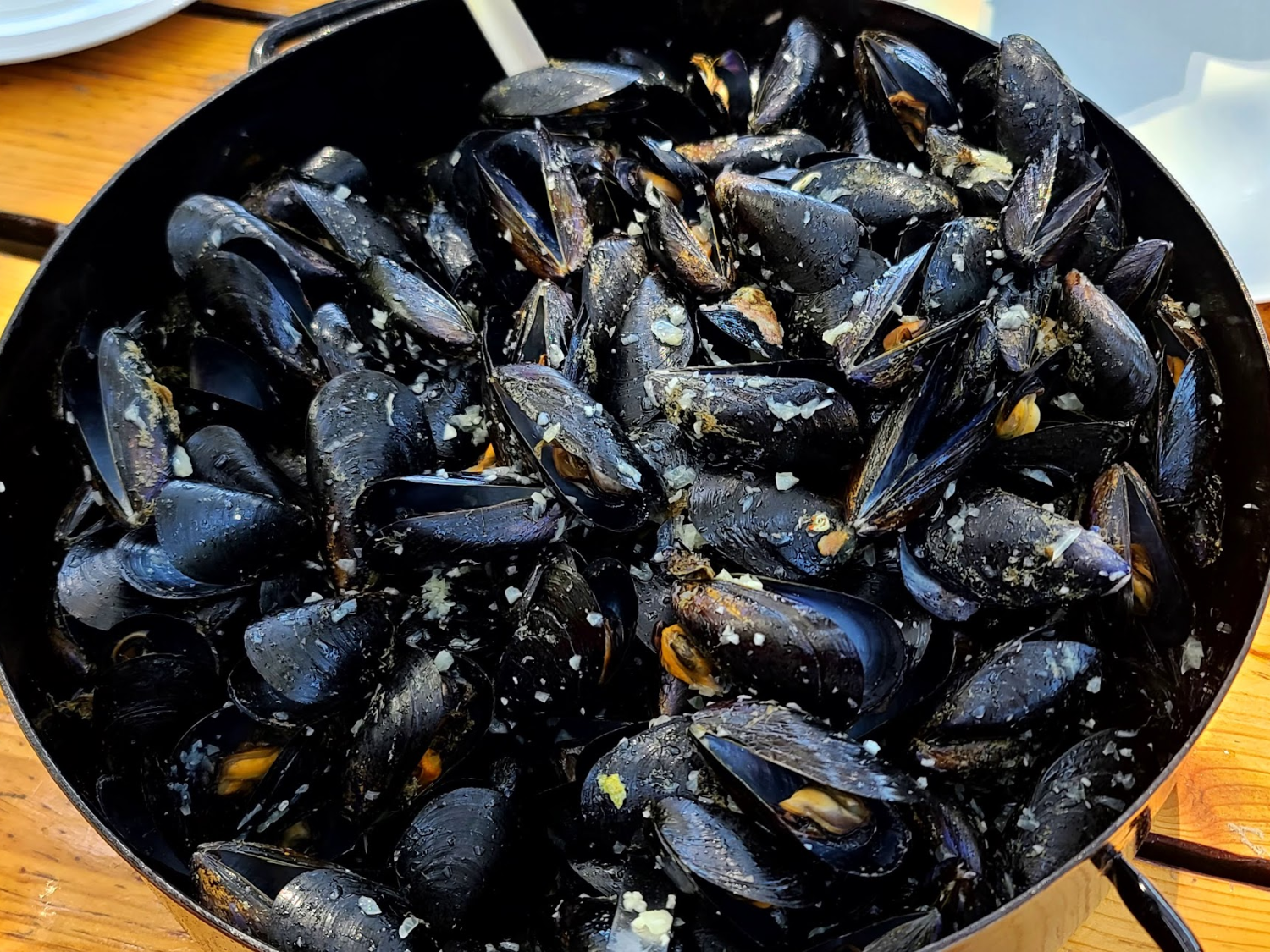Picture of Pearls of the Croatian Coast